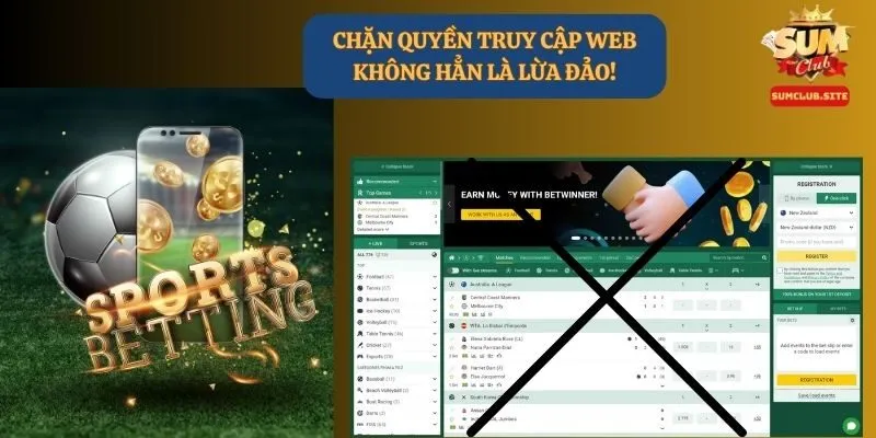 Lý do người chơi bị chặn truy cập web không hẳn là lừa đảo Lý do người chơi bị chặn truy cập web không hẳn là lừa đảo