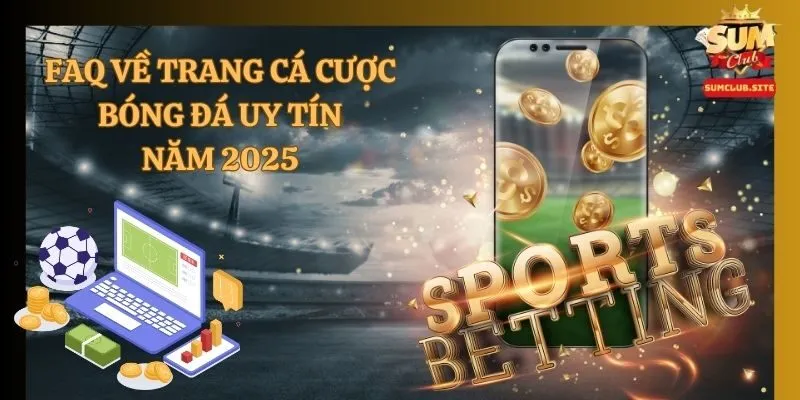 Câu hỏi về trang cá cược bóng đá uy tín